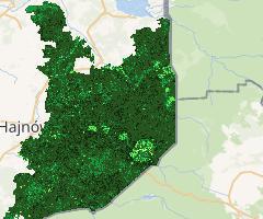 NDVI rok 2020 Puszcza Białowieska | NDVI year 2020 Bialowieza Forest (Sentinel 2)