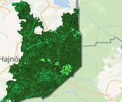 NDVI rok 2019 Puszcza Białowieska | NDVI year 2019 Bialowieza Forest (Sentinel 2)