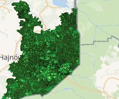 NDVI rok 2017 Puszcza Białowieska | NDVI year 2017 Bialowieza Forest (Sentinel 2)