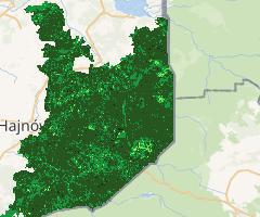 NDVI rok 2018 Puszcza Białowieska | NDVI year 2018 Bialowieza Forest (Sentinel 2)